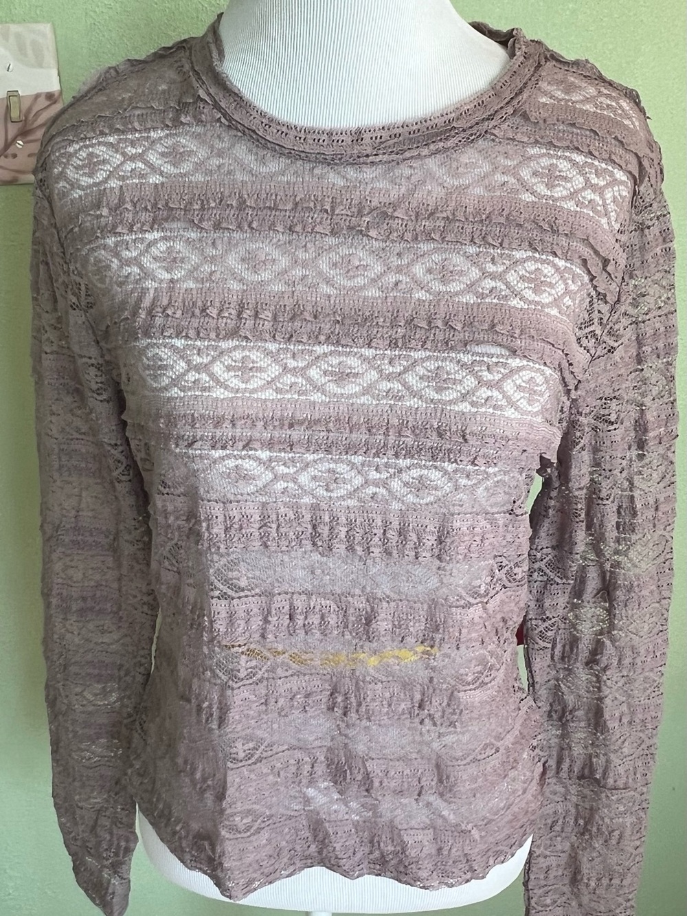 BOLD elements Mauve Lace Long-Sleeve Top